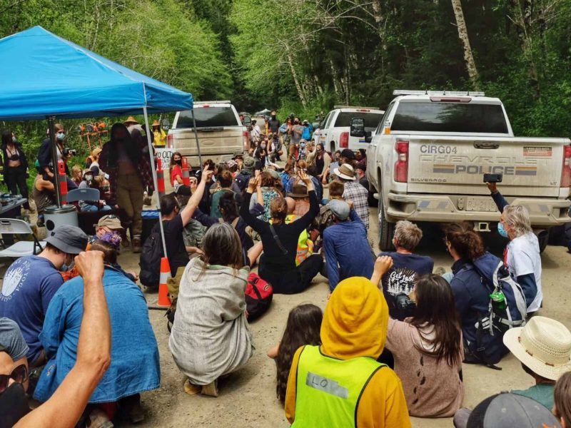A group of people sit on the ground surrounded by police vehicles near the Caycuse camp of Fairy Creek.