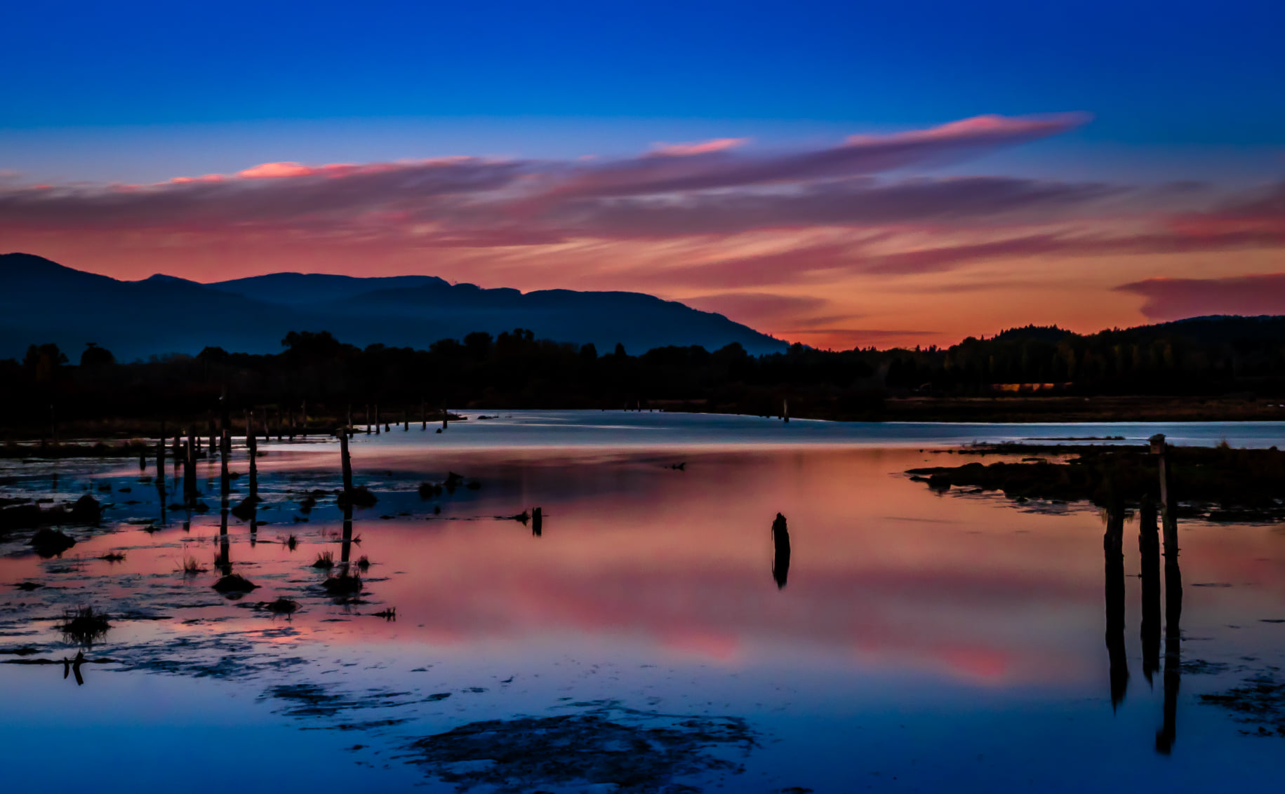 cowichan this week photo of the week