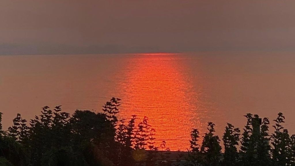 west shore photo of the week