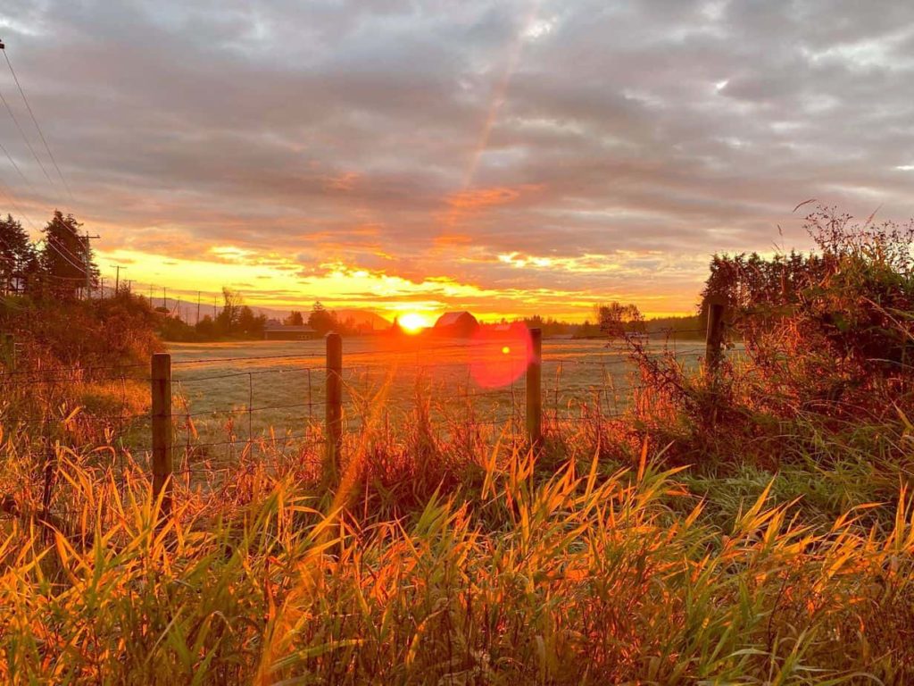 cowichan rho elliott photography