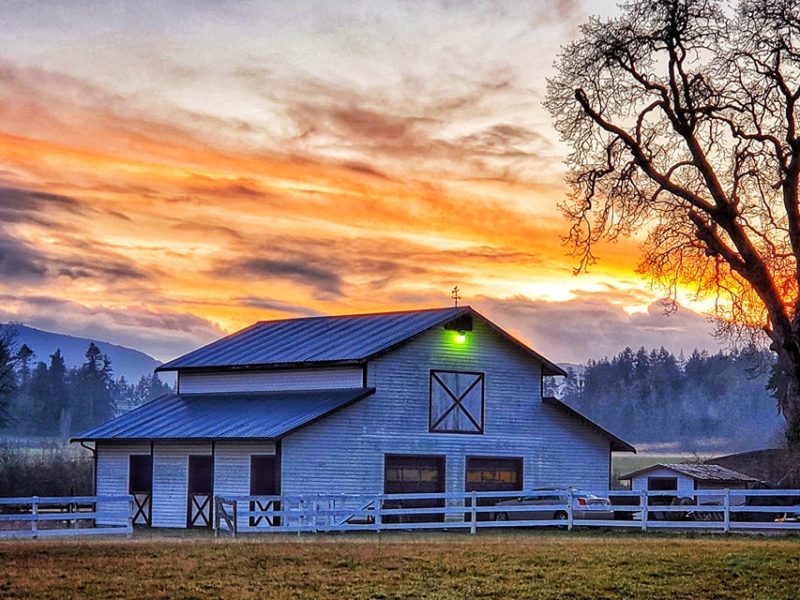 Cowichan photo of the week