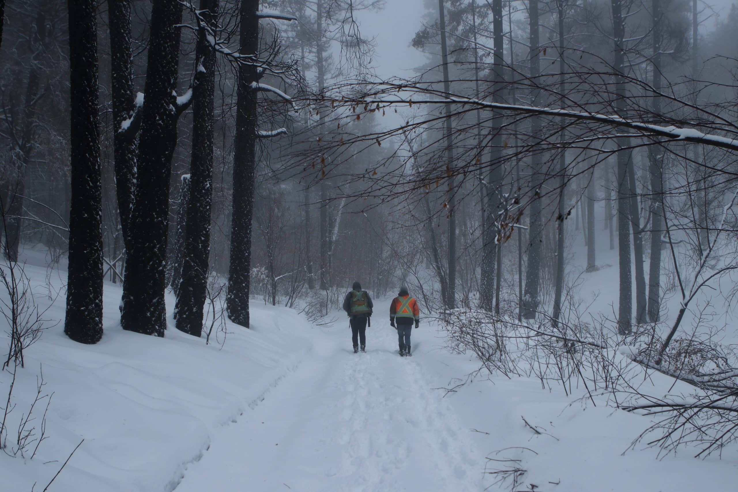 Ntityix Resources LP technicians Steve Tostenson and Coulter Roberts make their way towards an exit point of an area of the Westbank First Nation Community Forest.