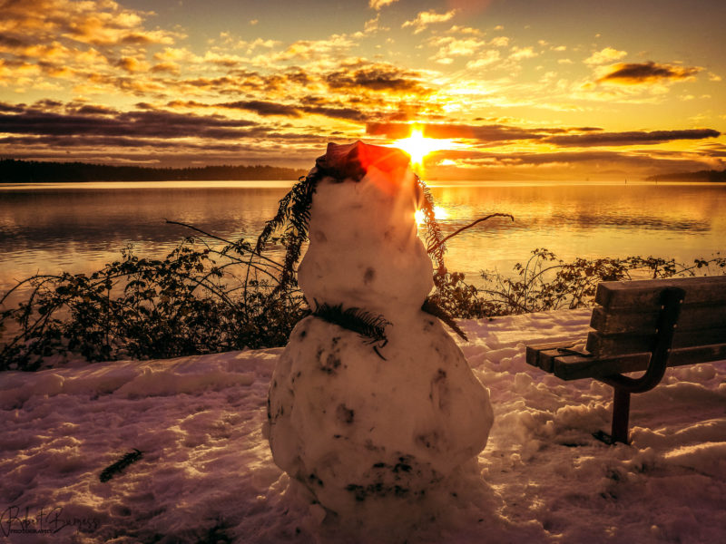 Cowichan photo of the week