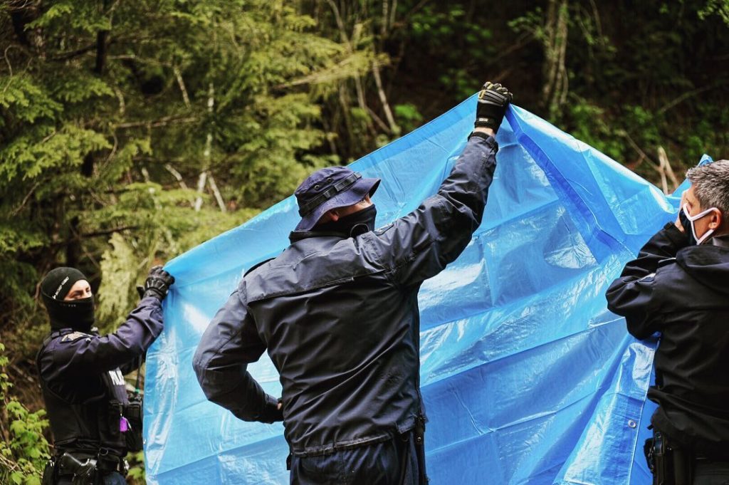 rcmp fairy creek tarps