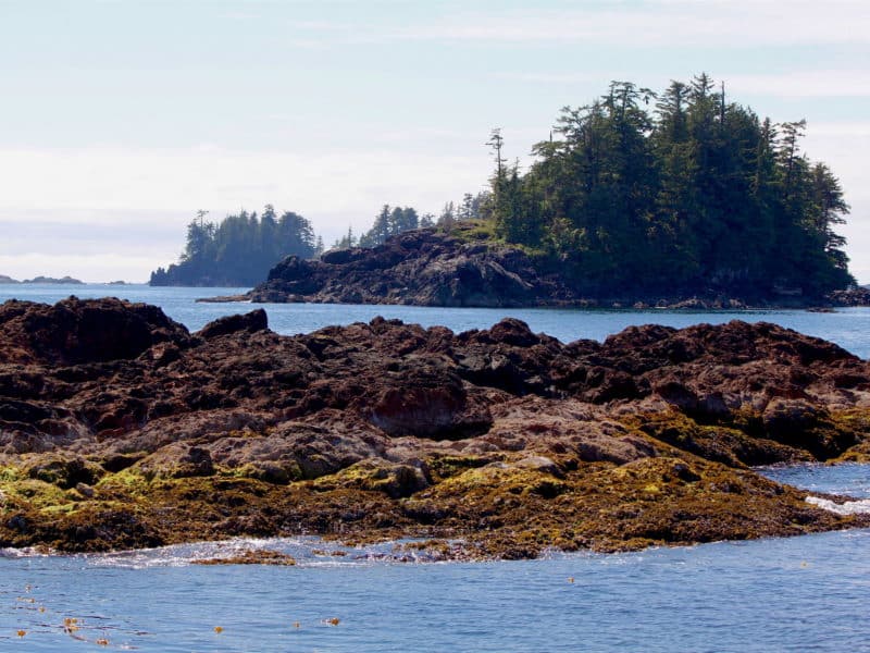 A rocky island in the Broken Group is shown with another island in the background.