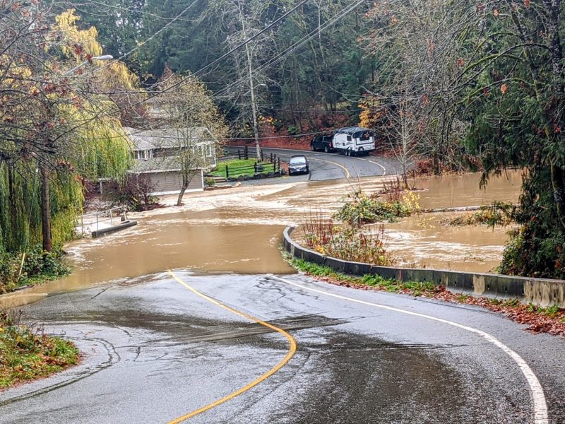 dave polster restoration flooding