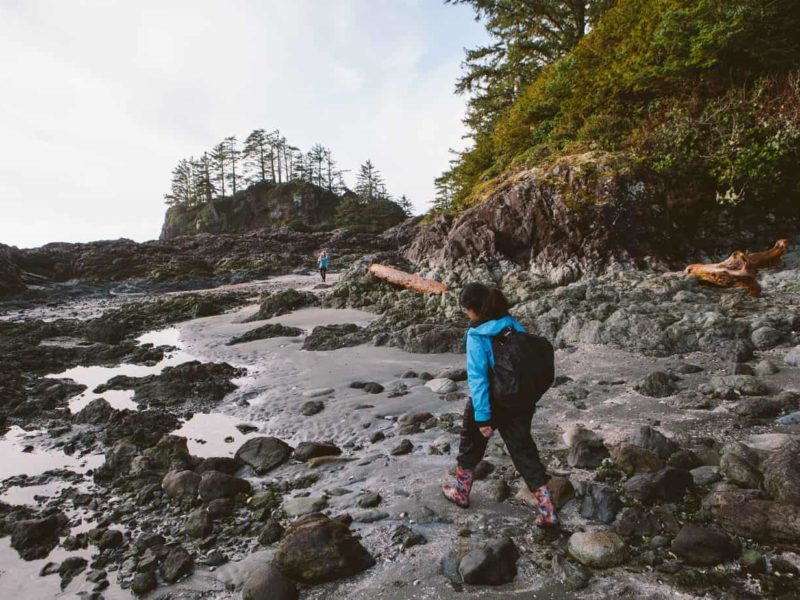 Newsletter: What I learned about local news from covering sustainable development