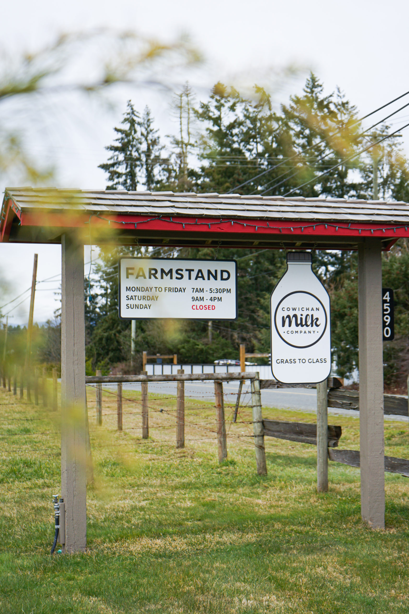 cowichan milk company