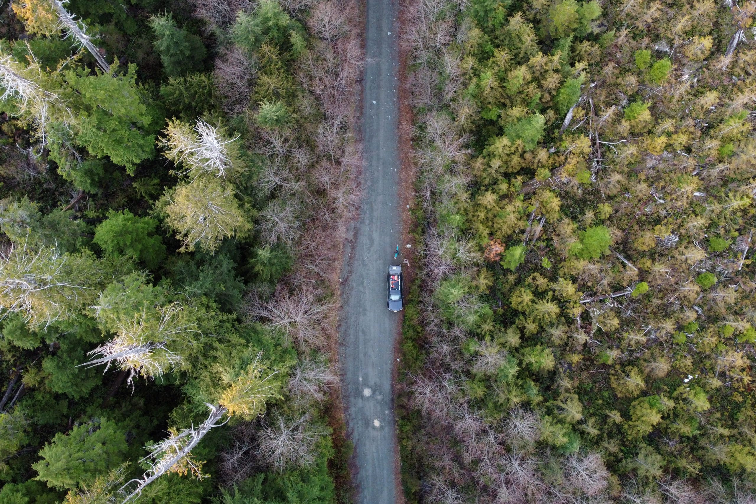 A drone photo shows a road below with a vehicle on it and forest on either side of the road. Taken near Pacific Rim National Park Reserve.