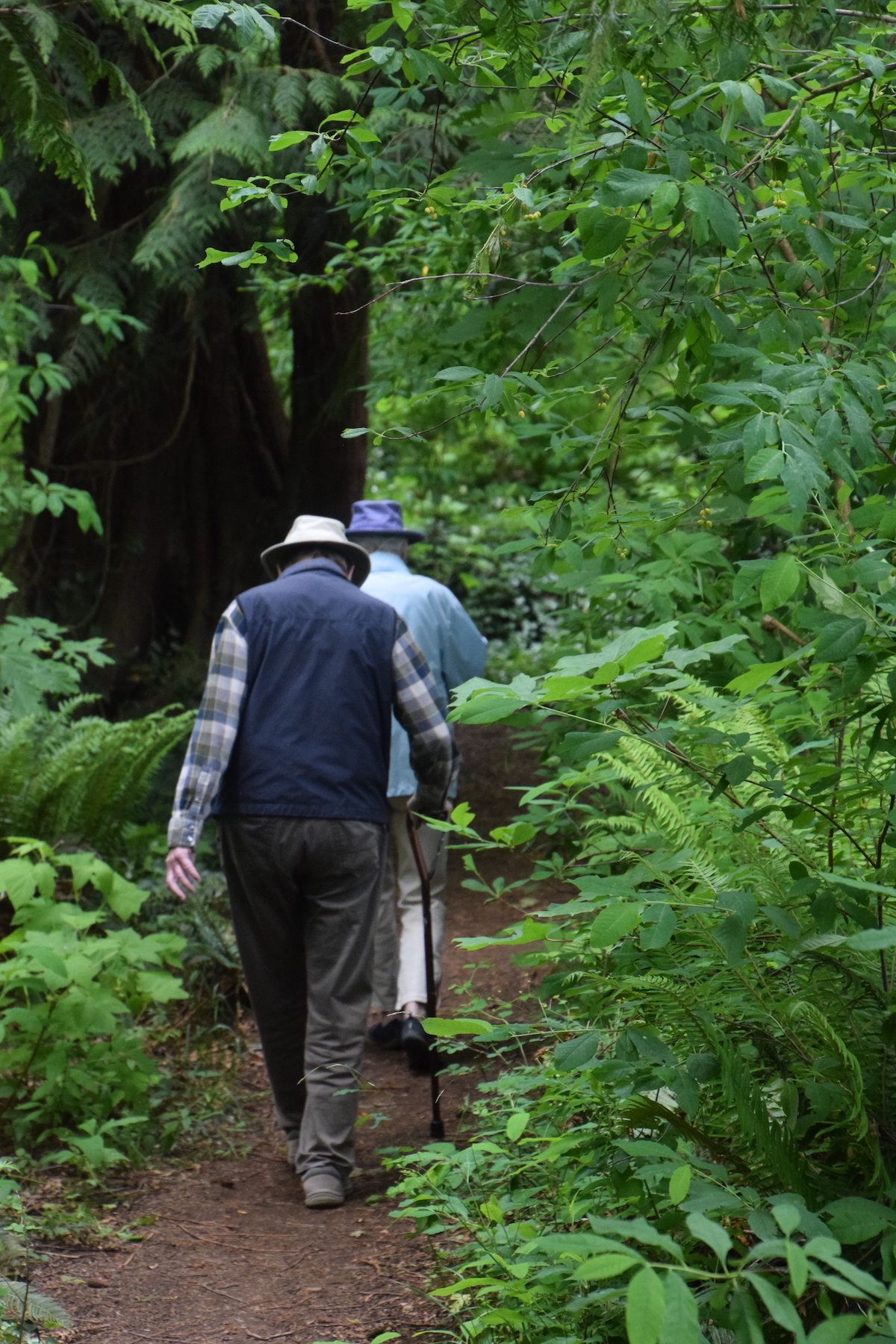 hermit's trail chemainus