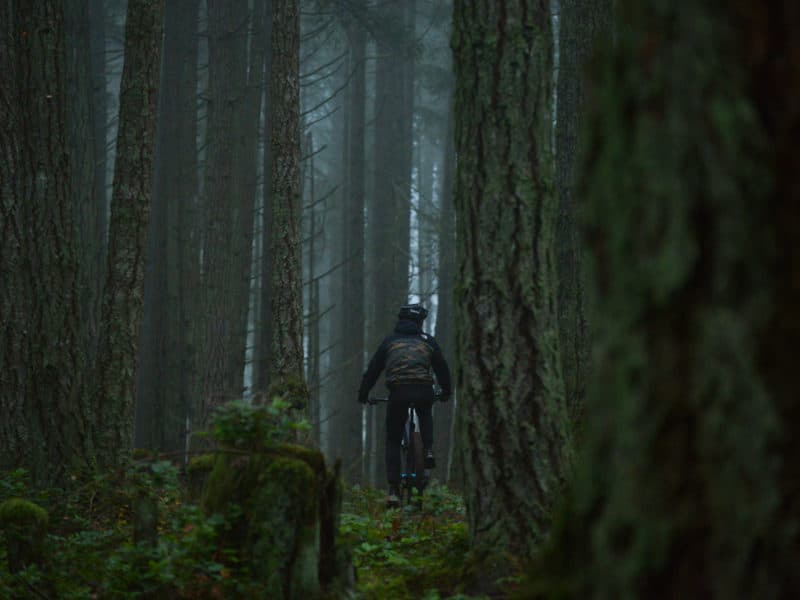 North Cowichan forest Mount Tzouhalem