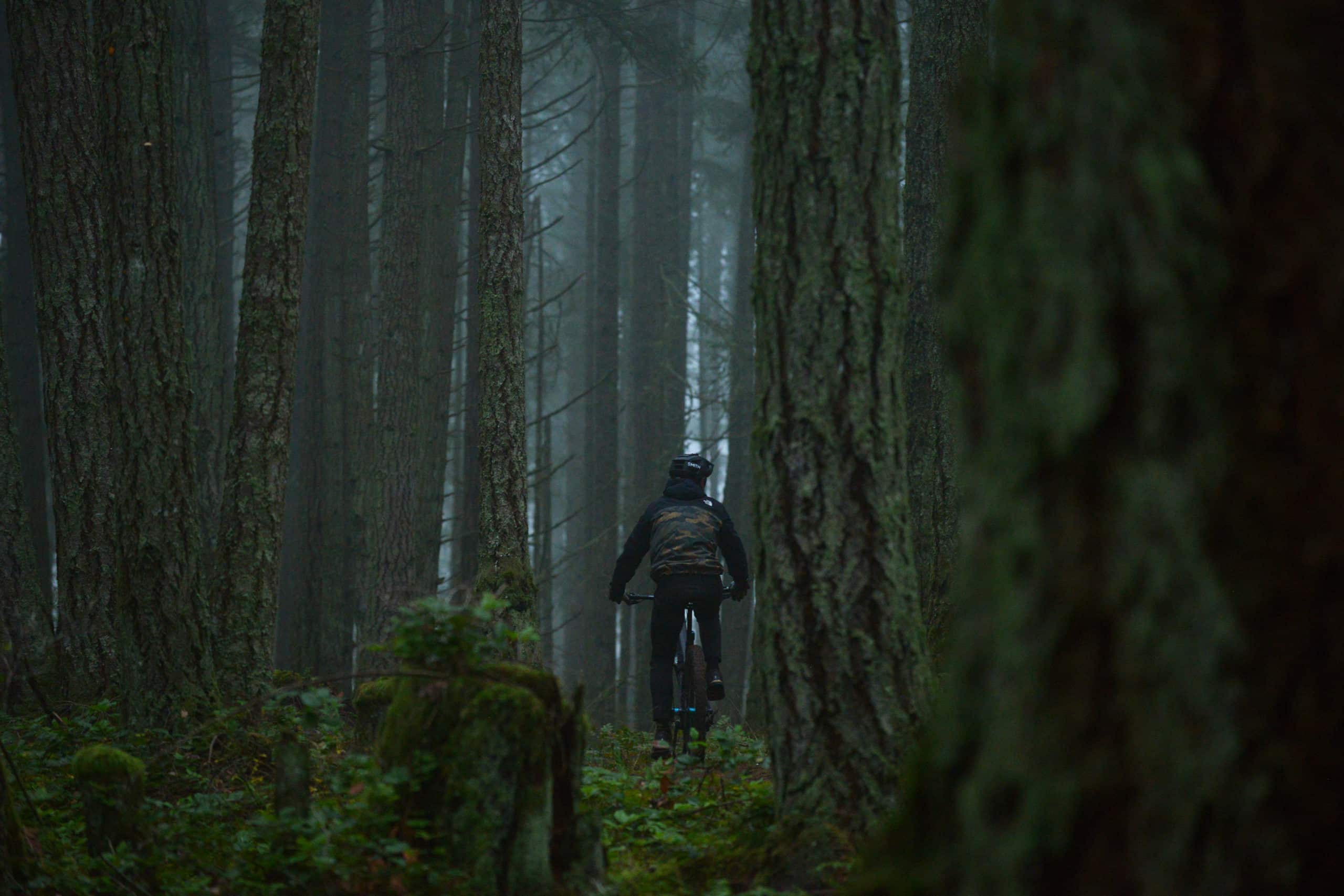 North Cowichan forest Mount Tzouhalem