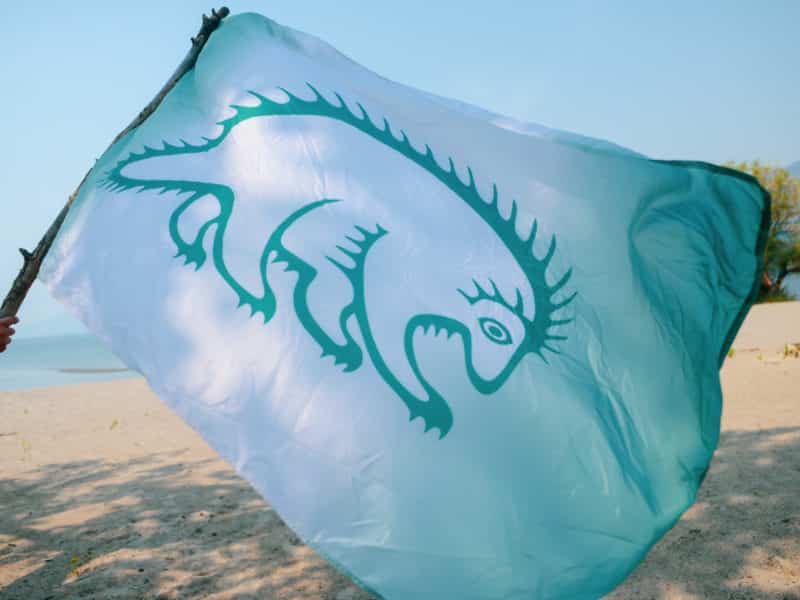 Pope's planned visit to so-called Canada is little more than a “publicity exercise on the part of the Vatican,” says OKIB Chief Byron Louis.