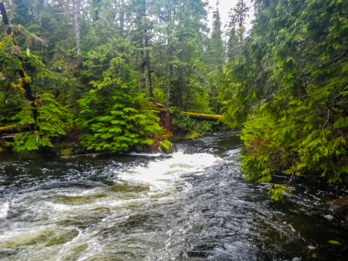 The swollen Gabion river after consecutive days of non-stop rain. Nearly 5 meters of rain falls here each year.Christopher Pollon