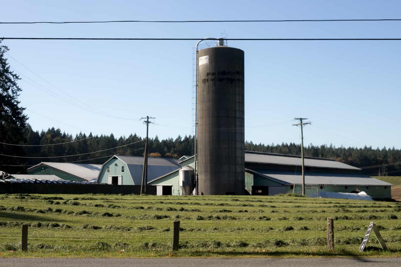 A farm in Cobble Hill on Vancouver Island. Jenny Holden/The Discourse