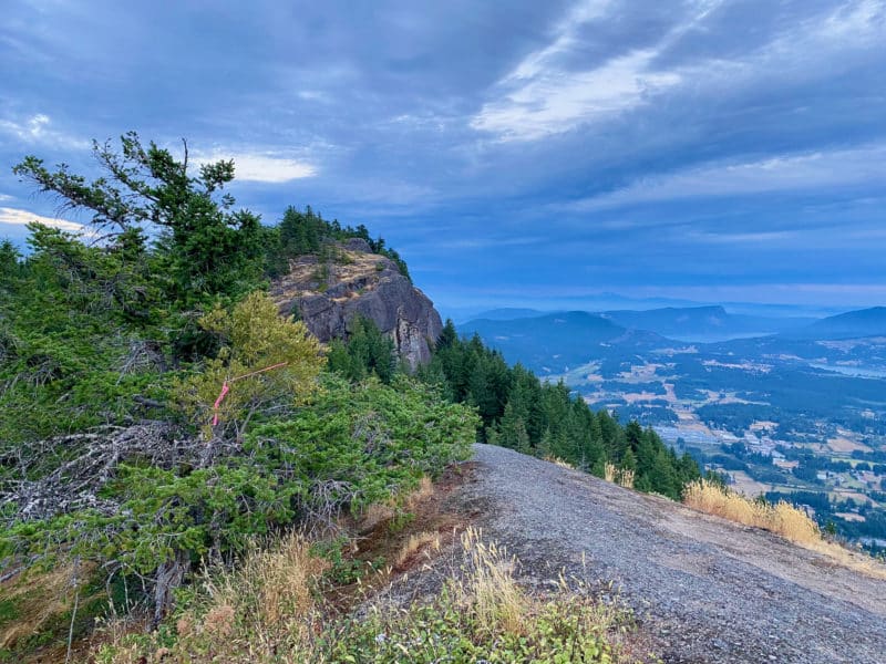 north cowichan forest mount prevost
