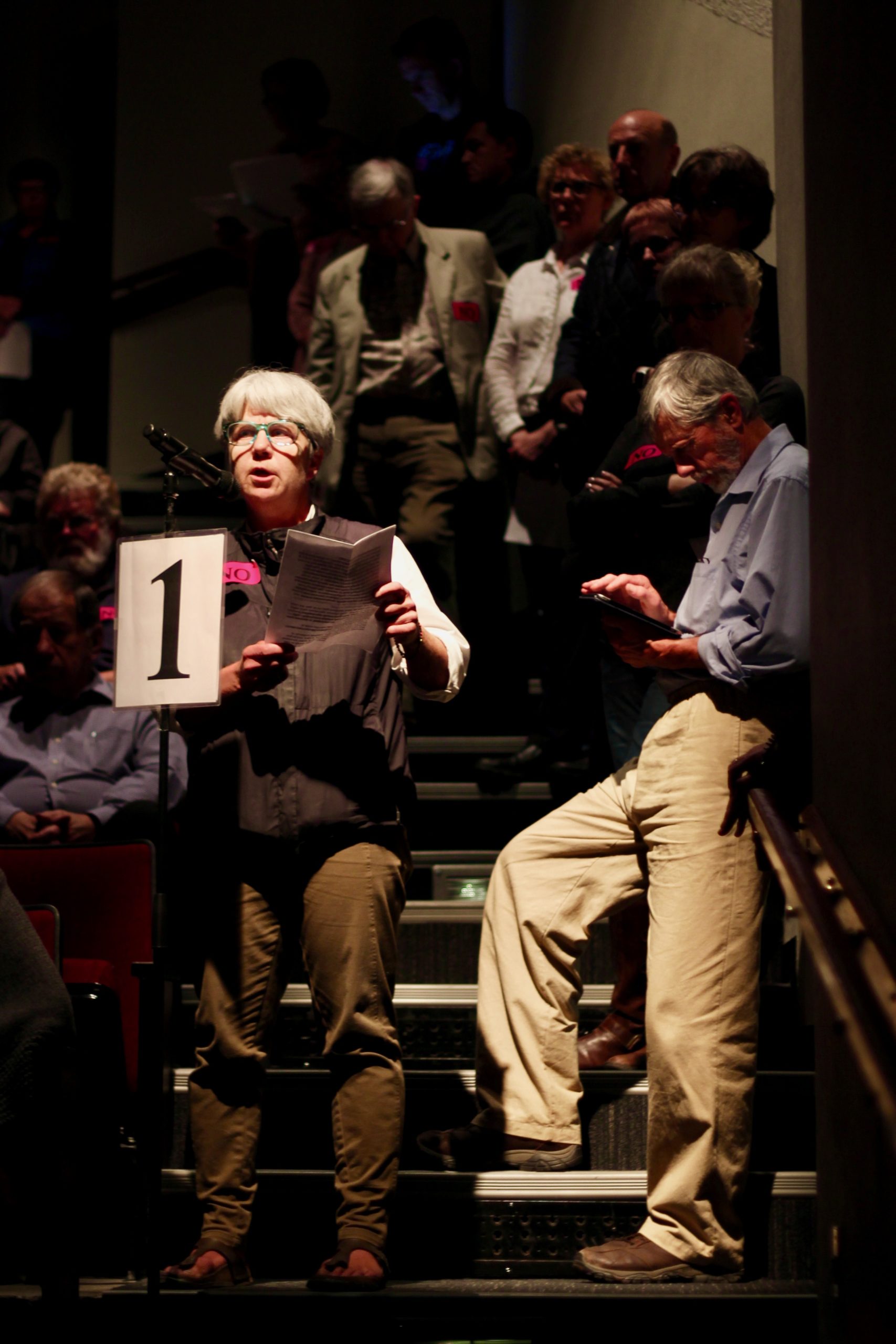 Members of the public line up behind one of four microphones at a public hearing that continued into the early hours of Oct. 4, 2019. Jacqueline Ronson/The Discourse