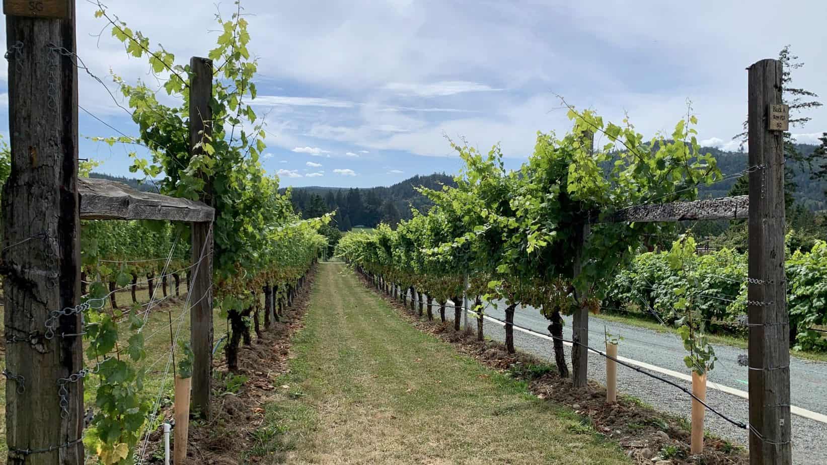 Cowichan wineries