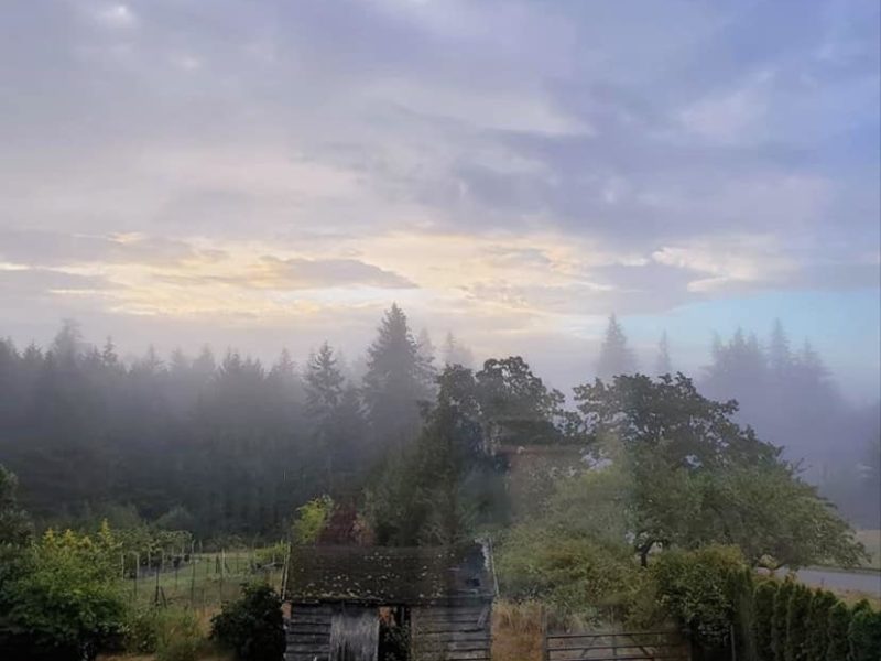 West Shore news and events