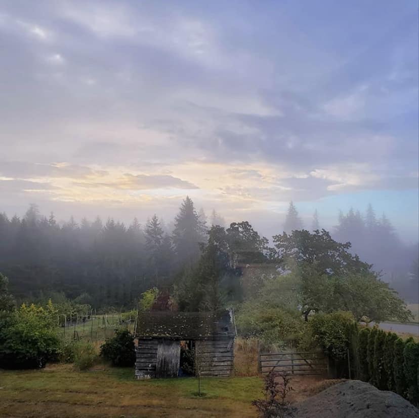 West Shore news and events