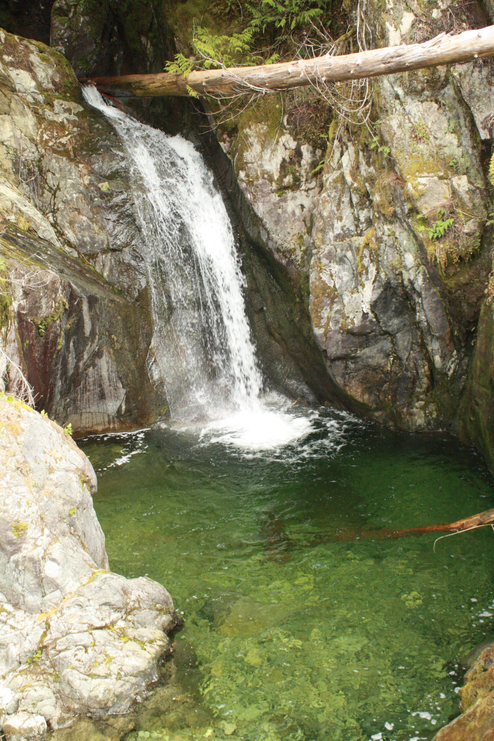 A waterfall spills into a green pool of fresh water in Fairy Creek area.
