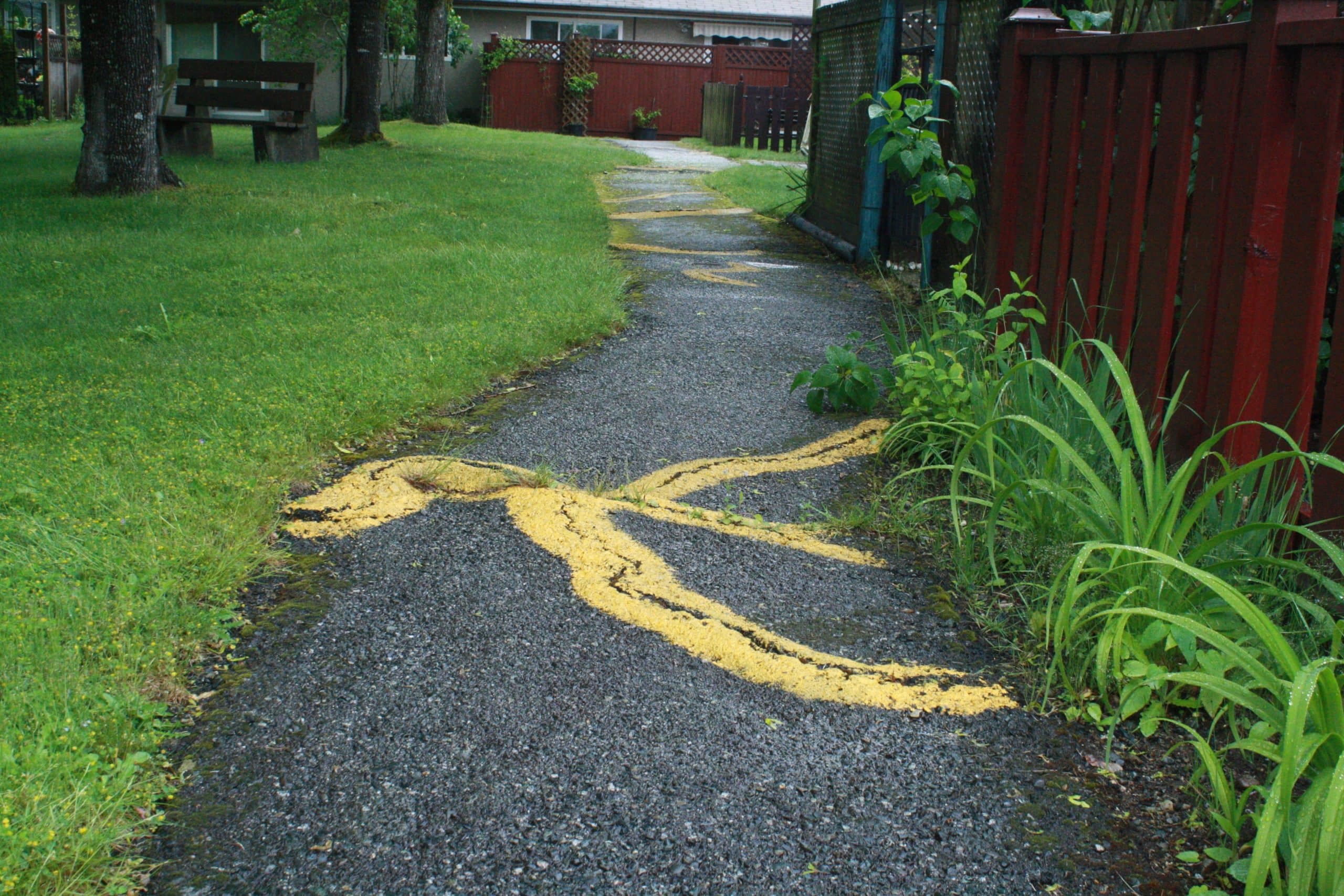 The paved walkway near the Buttertubs Drive seniors complex is shown raised by tree roots, marked in yellow paint.