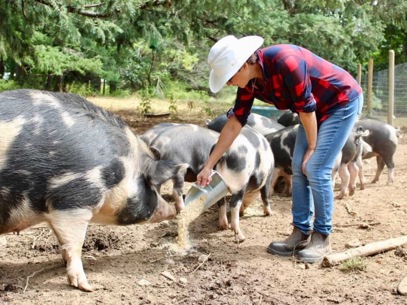 farm lease land matching program digable roots duncan