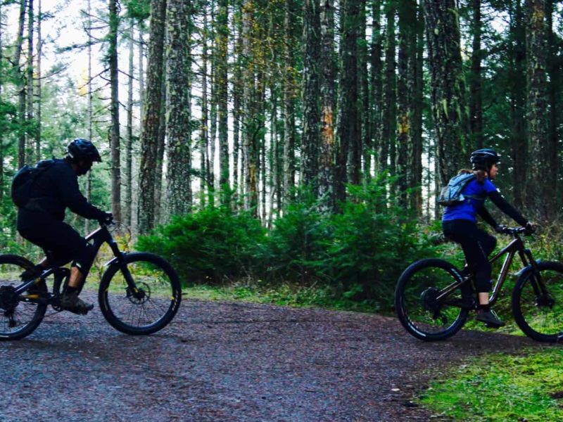 north cowichan municipal forest consultation plan