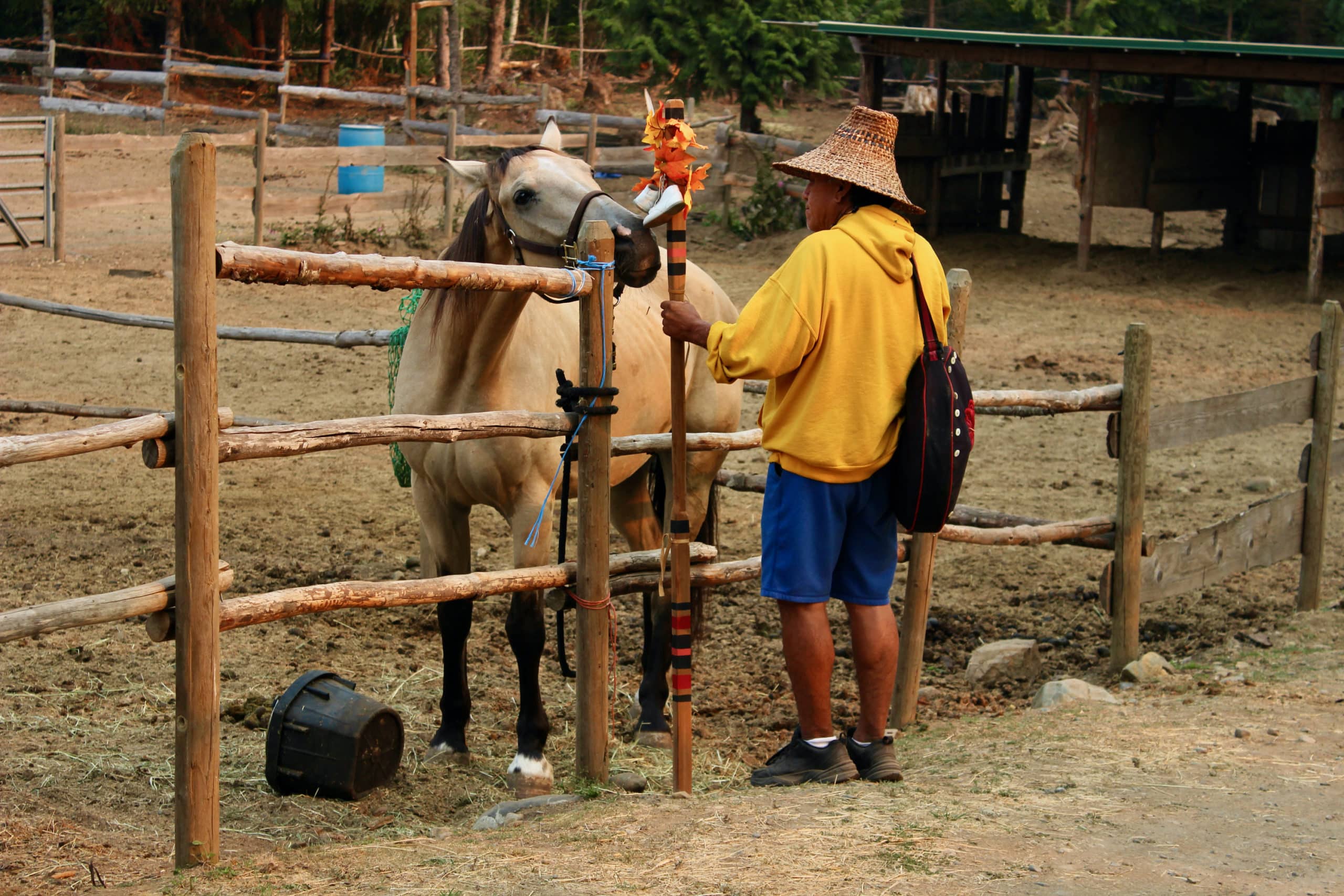 A horse stretches its nose over a fence, nearly touching a staff held by a man in a cedar hat and yellow sweater.