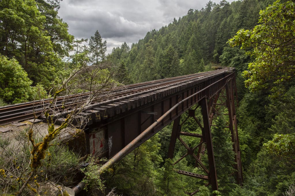 The Arbutus Canyon trestle on the E&N Railway near the Malahat has spent more than a decade sitting idle, pictured surrounded by forest.