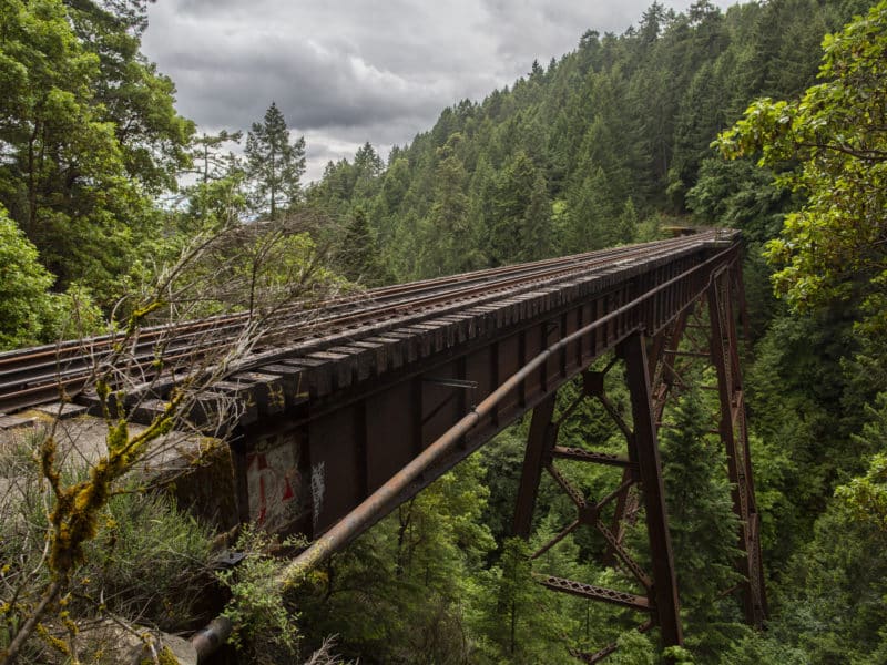 The Arbutus Canyon trestle on the E&N Railway near the Malahat has spent more than a decade sitting idle, pictured surrounded by forest.