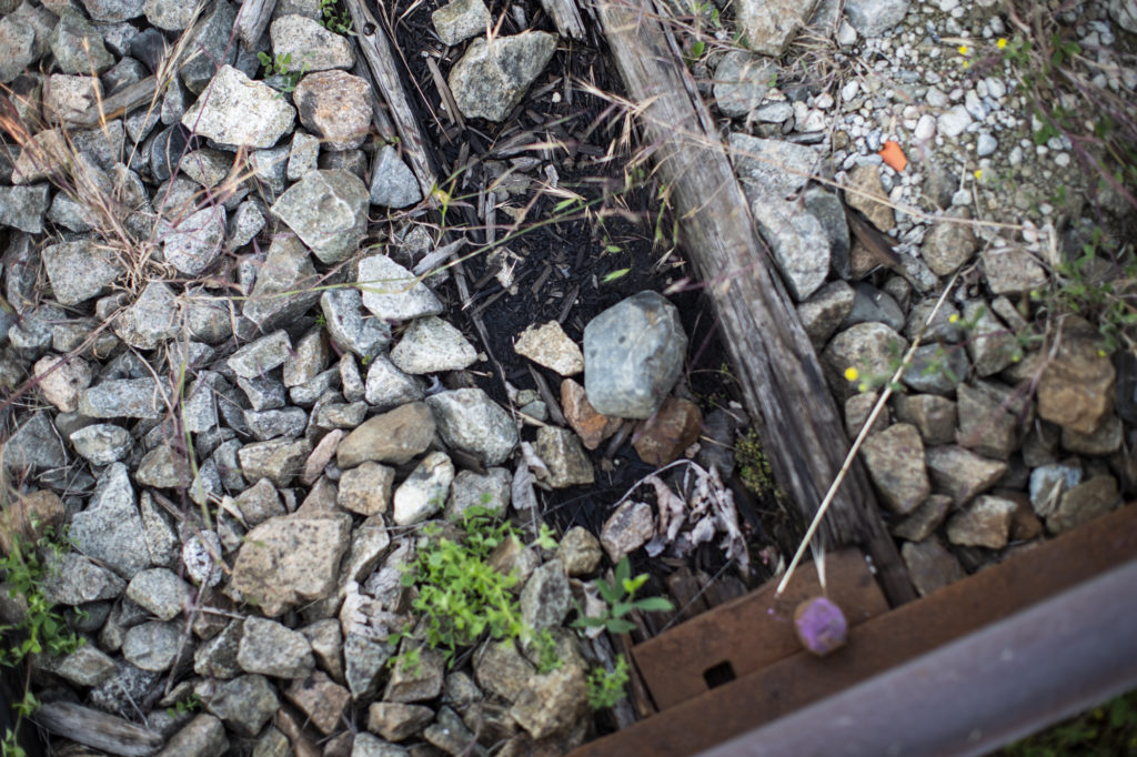 Vancouver Island passenger rail