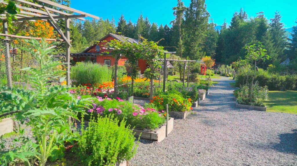 Garden beds at the Tofino Botanical Gardens