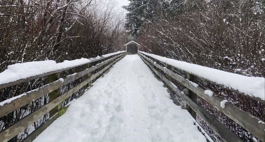 west shore