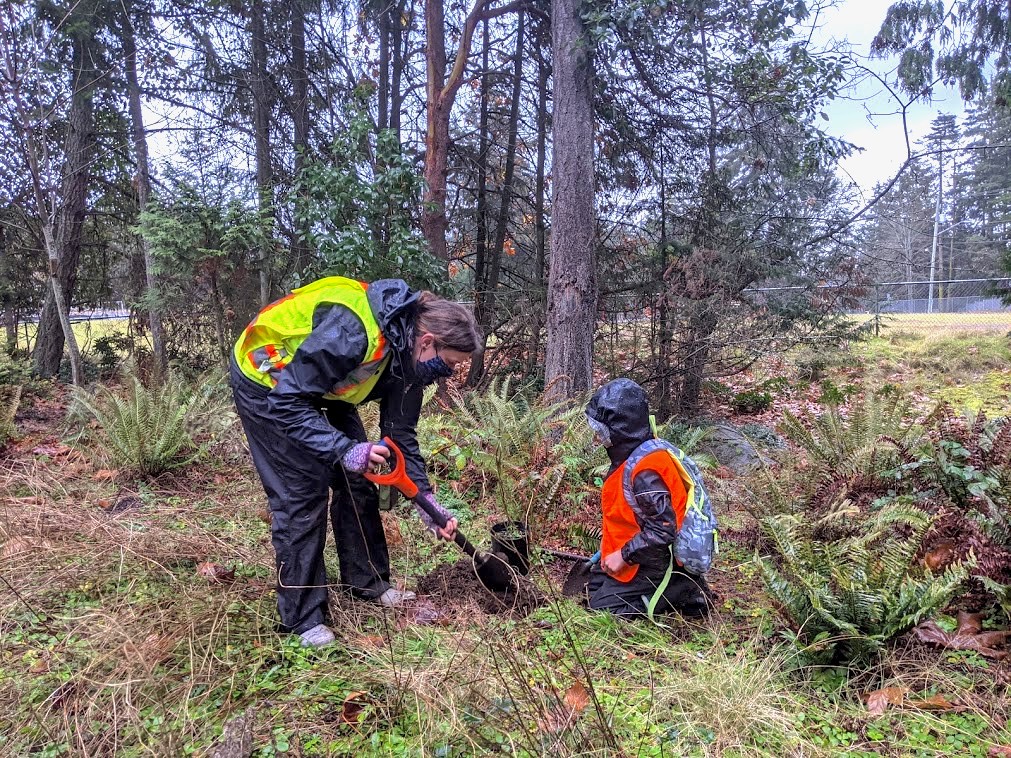 A teacher with the School Water Stewards program holds a shovel in the marsh with a small student in rain gear observing beside them.