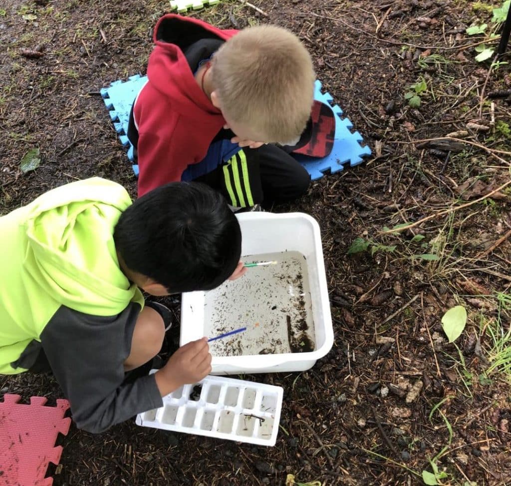 A birds eye view of two students in the School Water Stewards program as they look closely at a white buckets of stream water to assess its health.