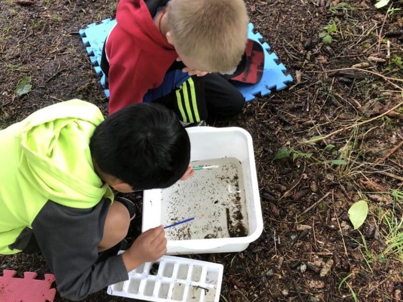 A birds eye view of two students in the School Water Stewards program as they look closely at a white buckets of stream water to assess its health.
