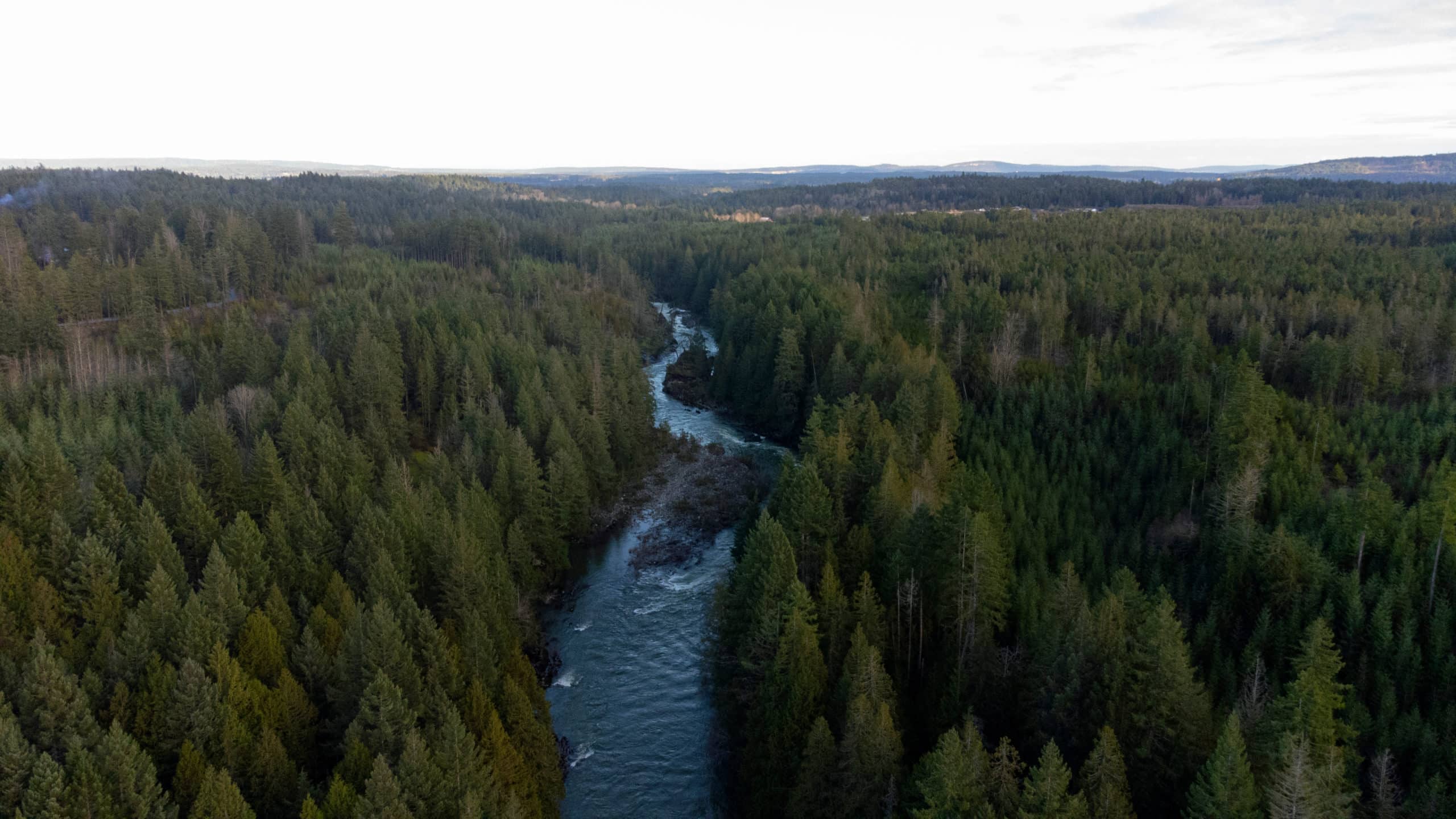The Nanaimo River, shown from above, meandres through coastal forestland on its way to the estuary on the coast.