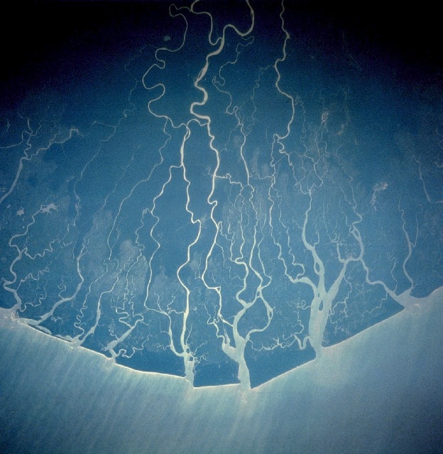 NASA Space Shuttle Overflight photo of the Niger Delta NASA 