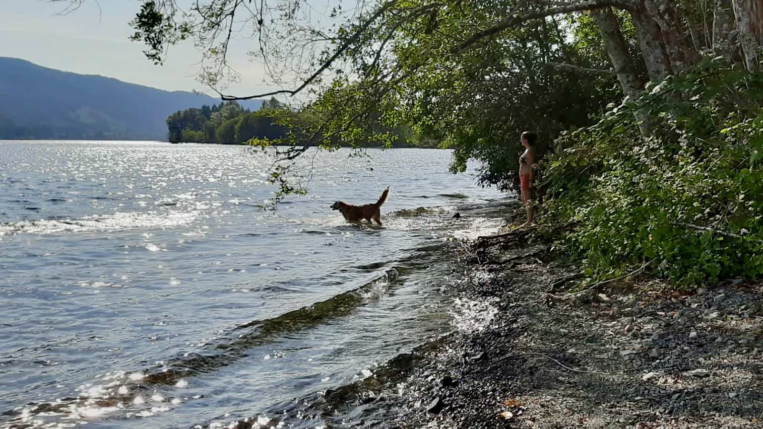 photo of the week cowichan