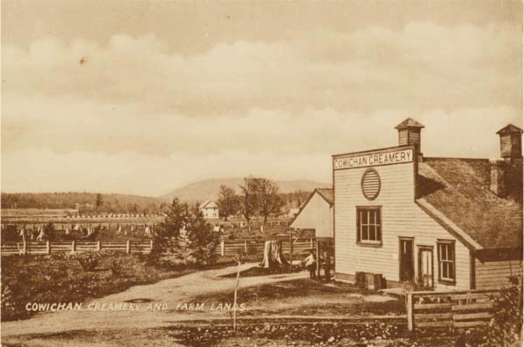 Cowichan creamery co-op 1907