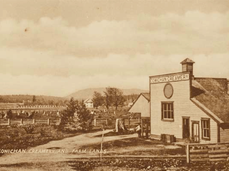 Cowichan creamery co-op 1907