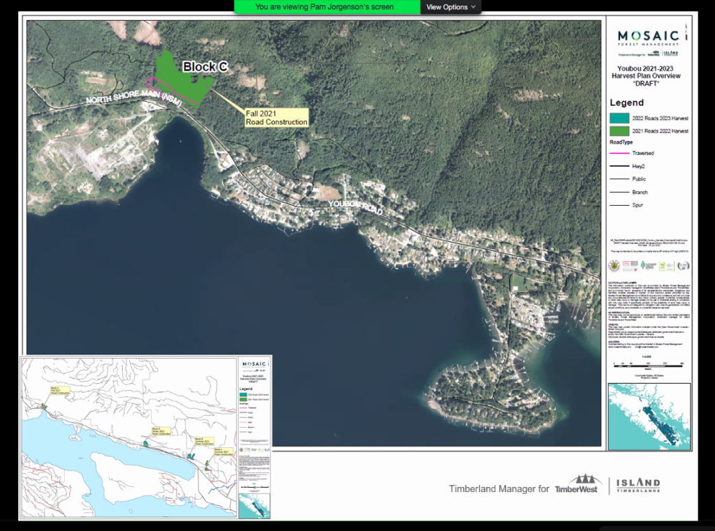 youobu mosaic logging plan