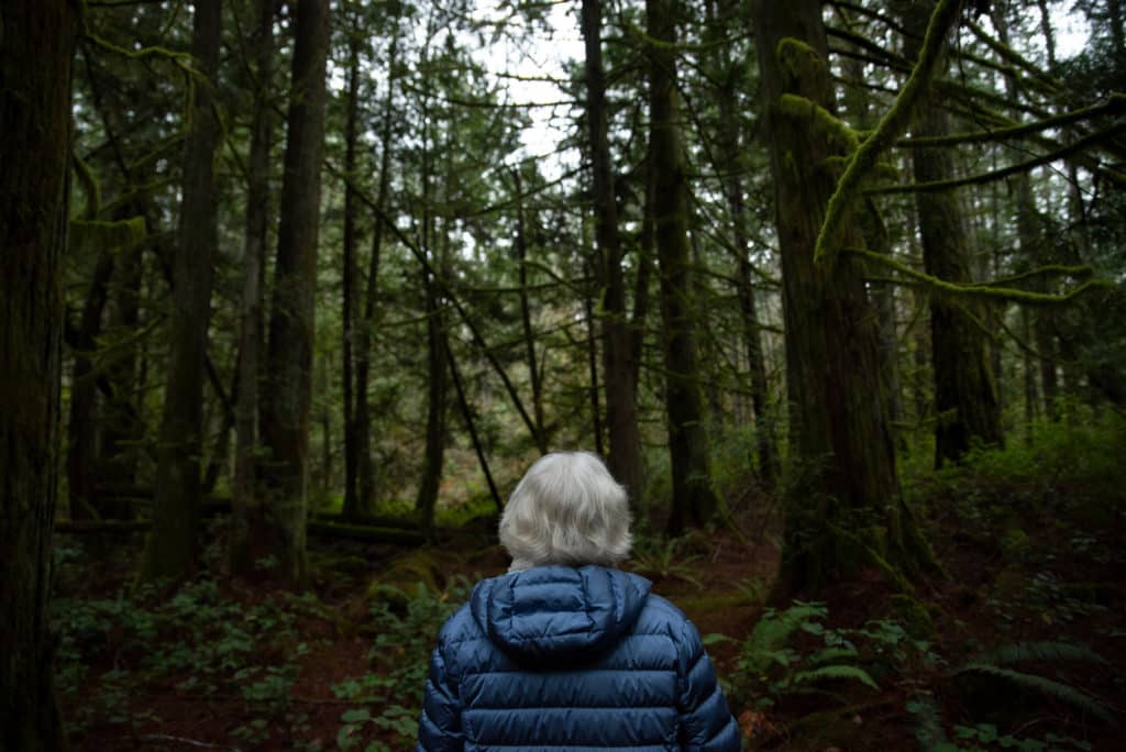 Vicky Husband, a recognized conservationist and southern Vancouver Island resident, looks out onto a parcel of forested land in the District of Highlands.