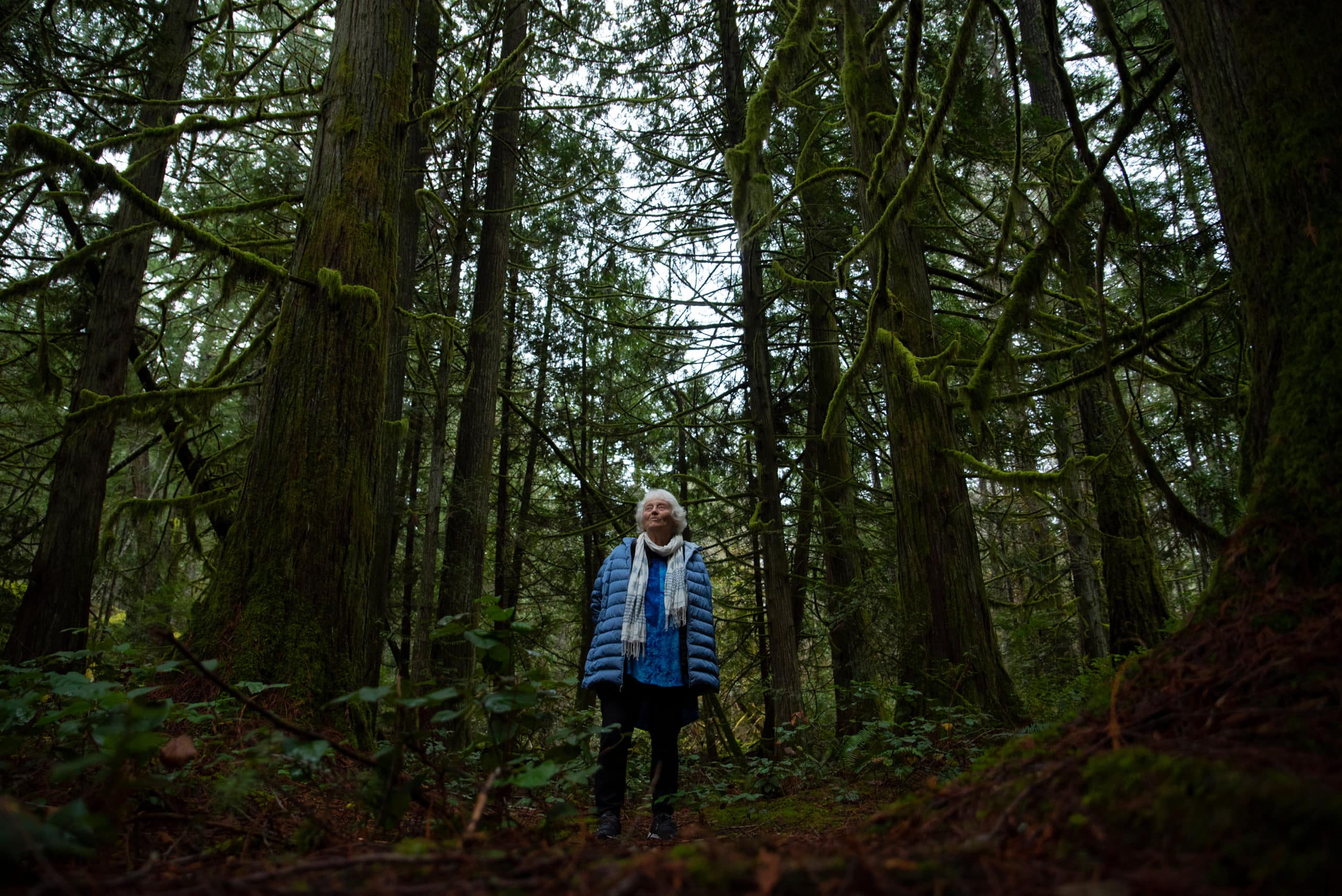 Vicky Husband stands in a forested, conservation area in the District on Highlands.