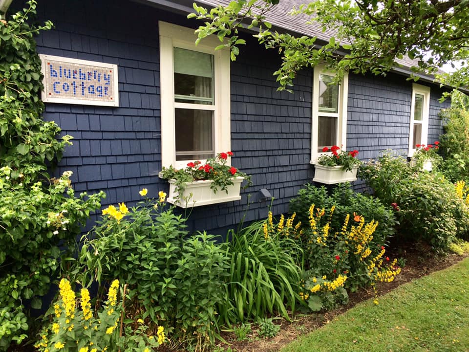 Likely the first image I saw of theBlueberry Cottage from the Airbnb website, showing a blue shingled cottage with flowers in the window and a sign that reads Blueberry Cottage.