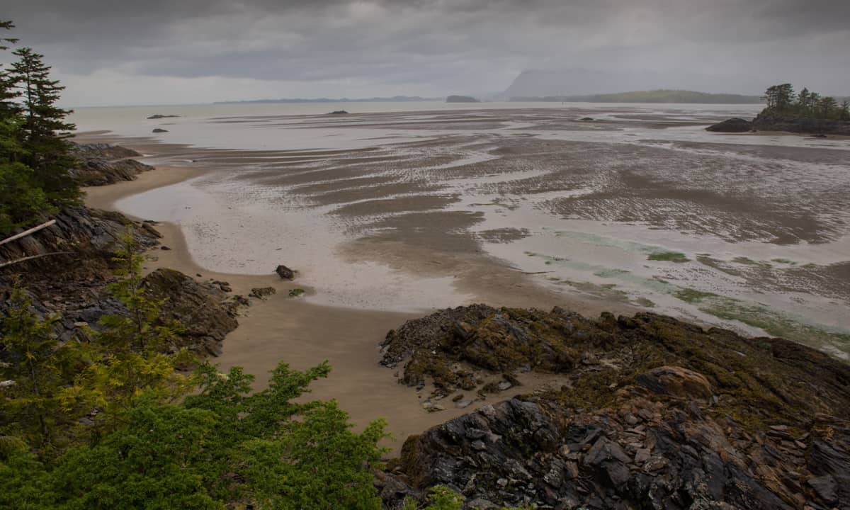 Flora Bank, an eelgrass habitat in the Skeena River estuary, is claimed territory of Tsimshian hereditary leaders who say they were not consulted. TAVISH CAMPBELL