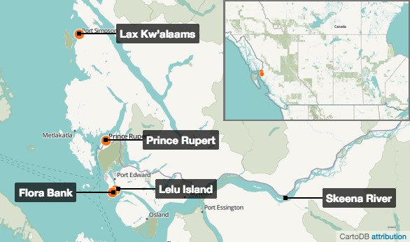 Petronas has proposed to build a conversion plant and shipping terminal on Lelu Island. Just off the shores of Lelu Island is Flora Bank, an ancient sediment sandbank that hosts eelgrass, an important habitat for juvenile salmon.
