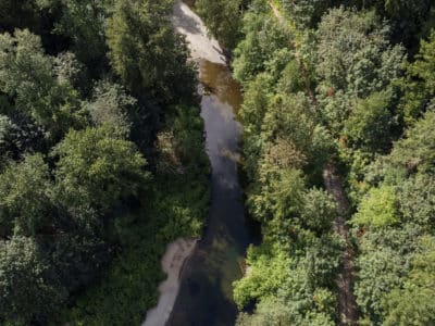 A drone image shows the Koksilah River below, running vertically in the middle of the image. On either side is a forest of lush, green trees.