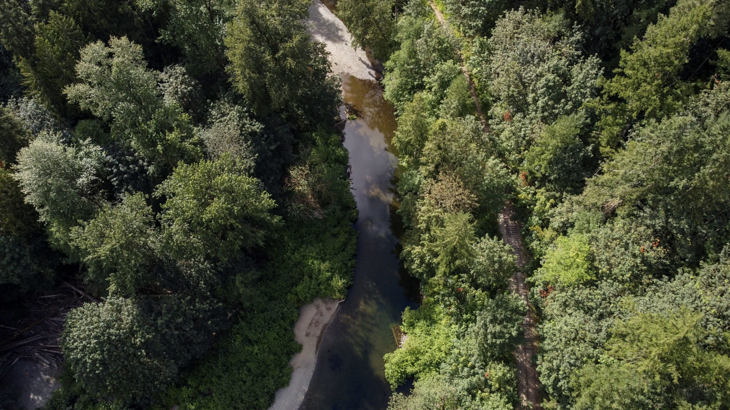 A drone image shows the Koksilah River below, running vertically in the middle of the image. On either side is a forest of lush, green trees.